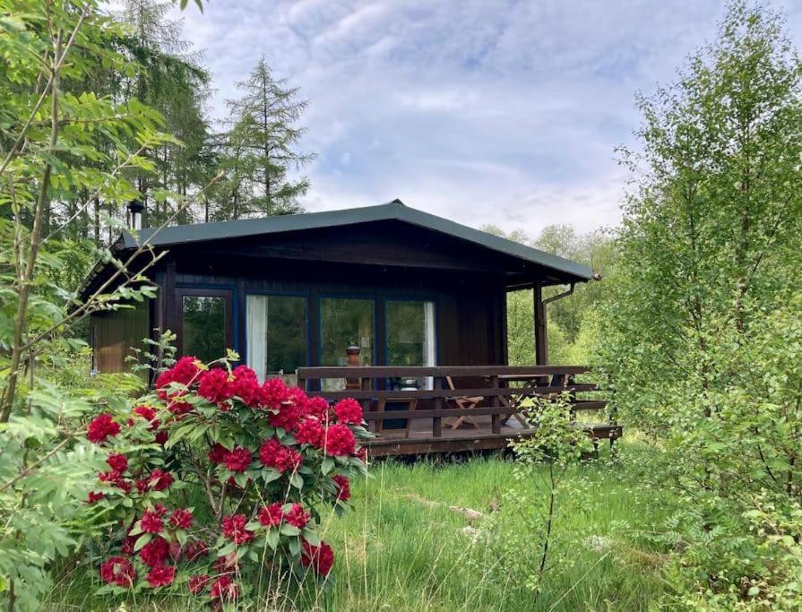 Апартаменты Woodland Retreats Форт-Уильям Экстерьер фото